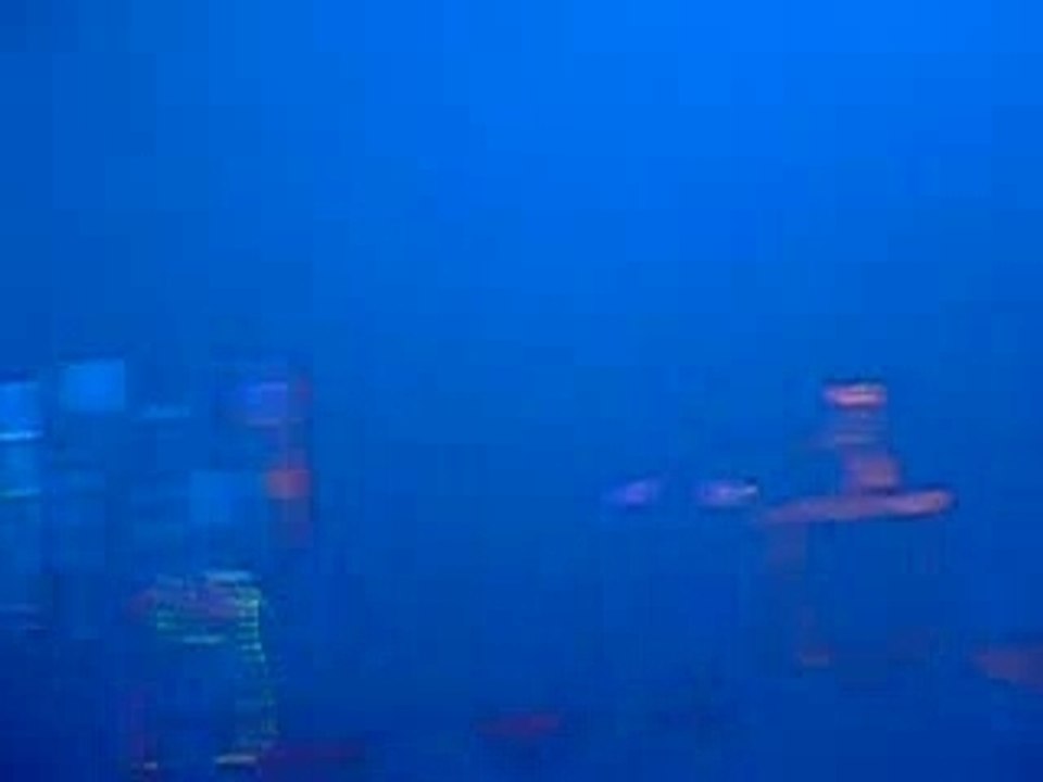 Z11 HeretiK au Zenith