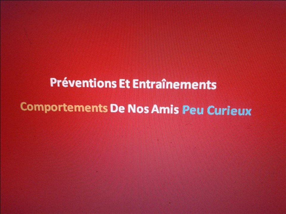 comportements de nos amis peu curieux