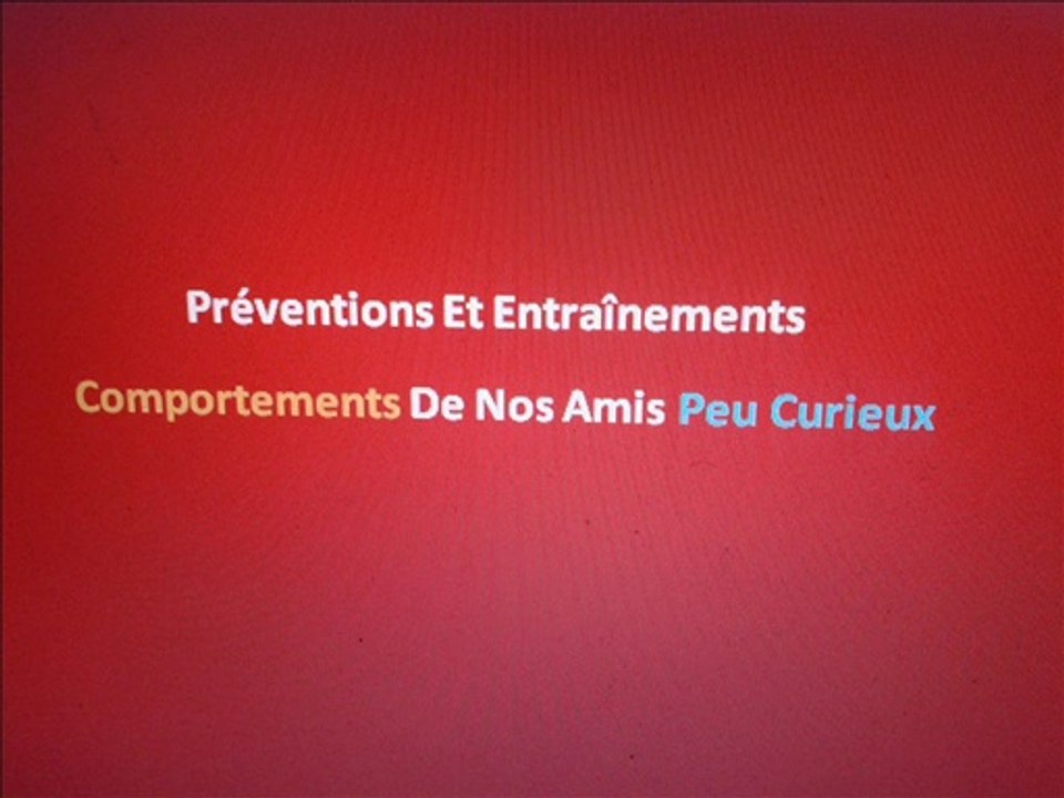comportements de nos amis peu curieux