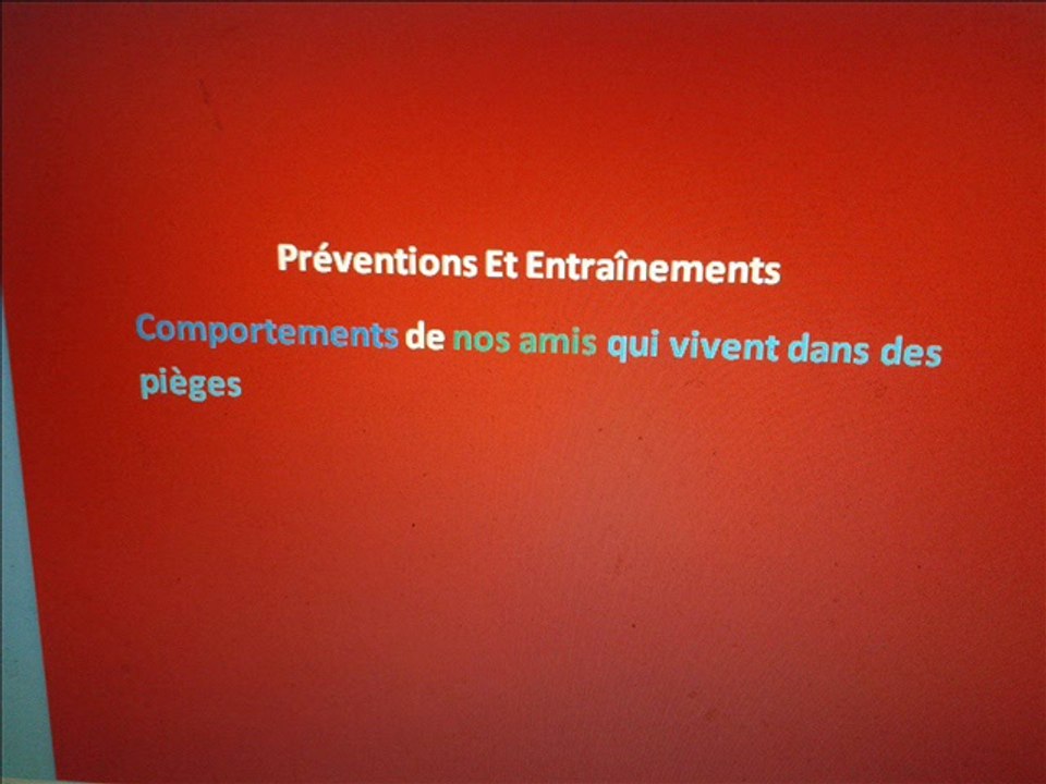 comportements de nos amis qui vivent dans des pièges