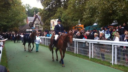 Prix Jacques Le Marois
