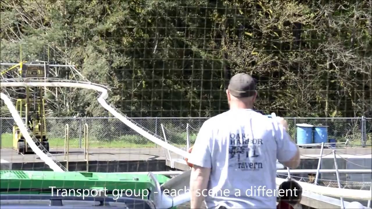 Des canons à poisson pour régler les problèmes de migration