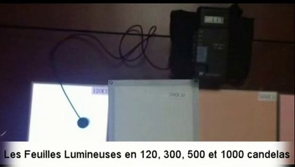 Feuilles Lumineuses en 120, 300, 500 et 1000 candelas par LumiereFroide.com