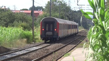 CORAIL TER LANGUEDOC ROUSSILLON