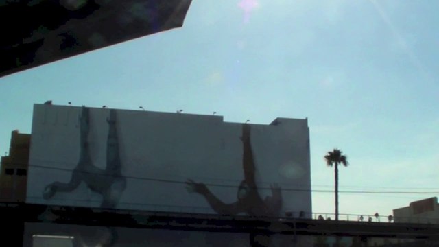 Pélican en plongée