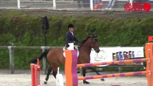 Normandie horse show : un CSI ** pas piqué des hannetons !