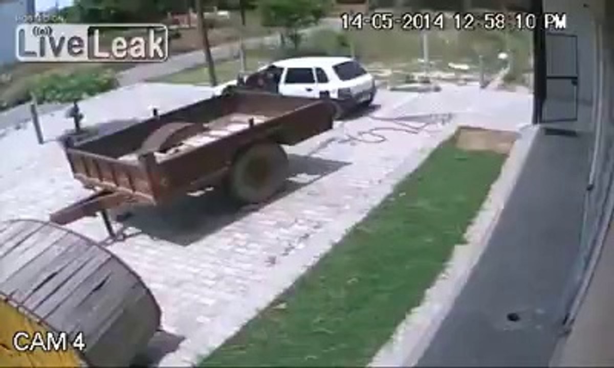 Thieves use a decoy car to steal a cow in India