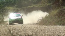 Burcu Burkut Erenkul & Efe Ersoy - 2014 Avis Boğaziçi Rallisi - Ford Fiesta ST