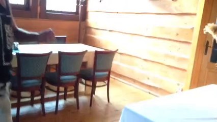 159. Dušan Goga - mena zvierat vypchatych