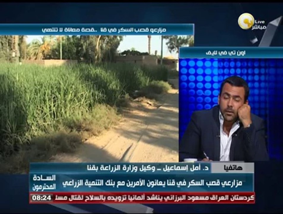 السادة المحترمون: مزارعو قصب السكر في قنا .. قصة معاناة لا تنتهي