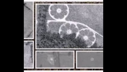 Les Crop Circles sont réels selon un historien