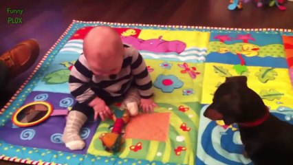 Funny Dogs Teaching Babies Compilation 2014 [NEW HD]