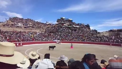 corrida de toros coracora 07 de agosto 2013 fiesta patronal virgen de las nieves parinacochas ayacucho