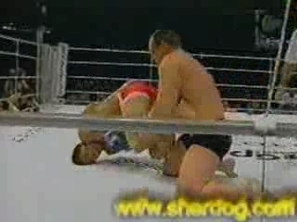 Ultimate Fighting Championships -