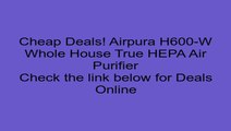 Airpura H600-W Whole House True HEPA Air Purifier Review