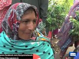 Women participate in Pakistan Awami Tehreek