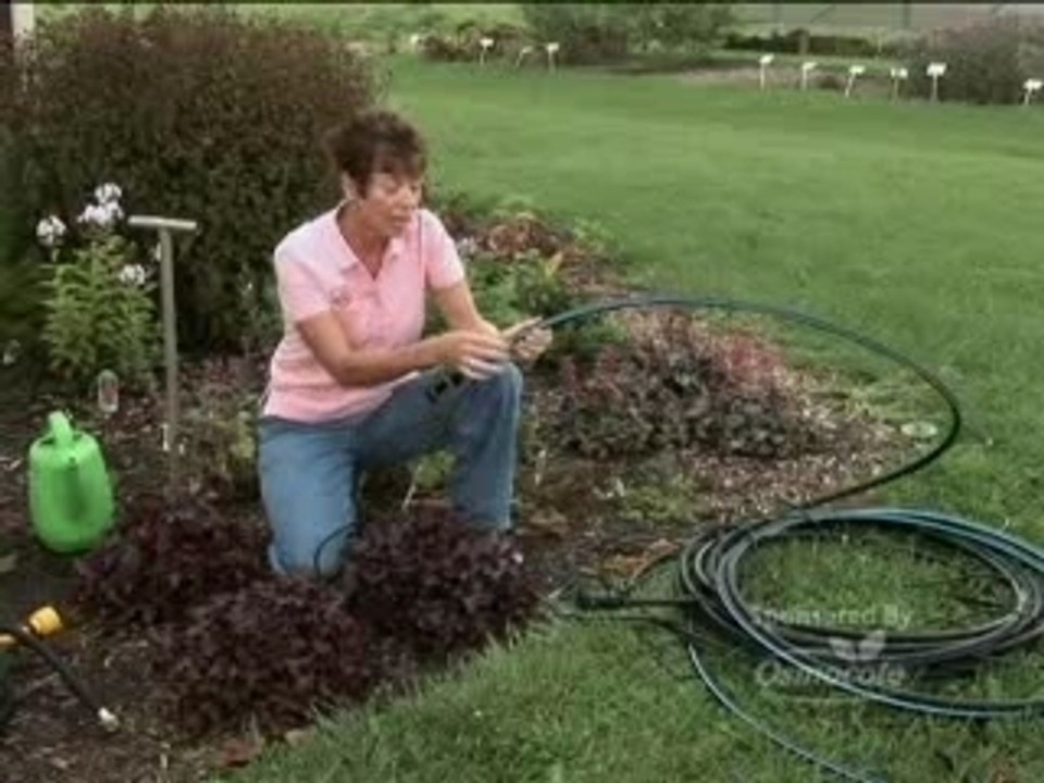 Osmocote Gardening Tips