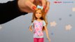Amusement Park Stacie Doll / Barbie Stacie w Lunaparku - Barbie Sisters - X9055 - Recenzja