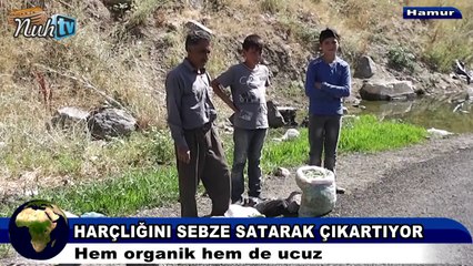 Harçlığını sebze satarak çıkartıyor