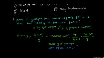01 What is energy storage = Fat and protein metabolism {pyarapakistan.pk}