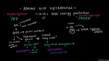 10 Overview of Amino Acid Metabolism - Fat and protein metabolism {pyarapakistan.pk}