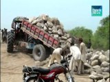 Indus River : Flood threatens at Alipur