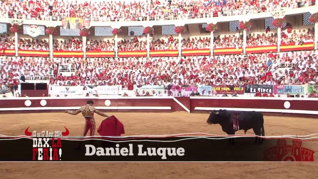 Dax, la Feria 2014 ! Corrida du vendredi 15 aout à 18h. Toros de Torrestrella