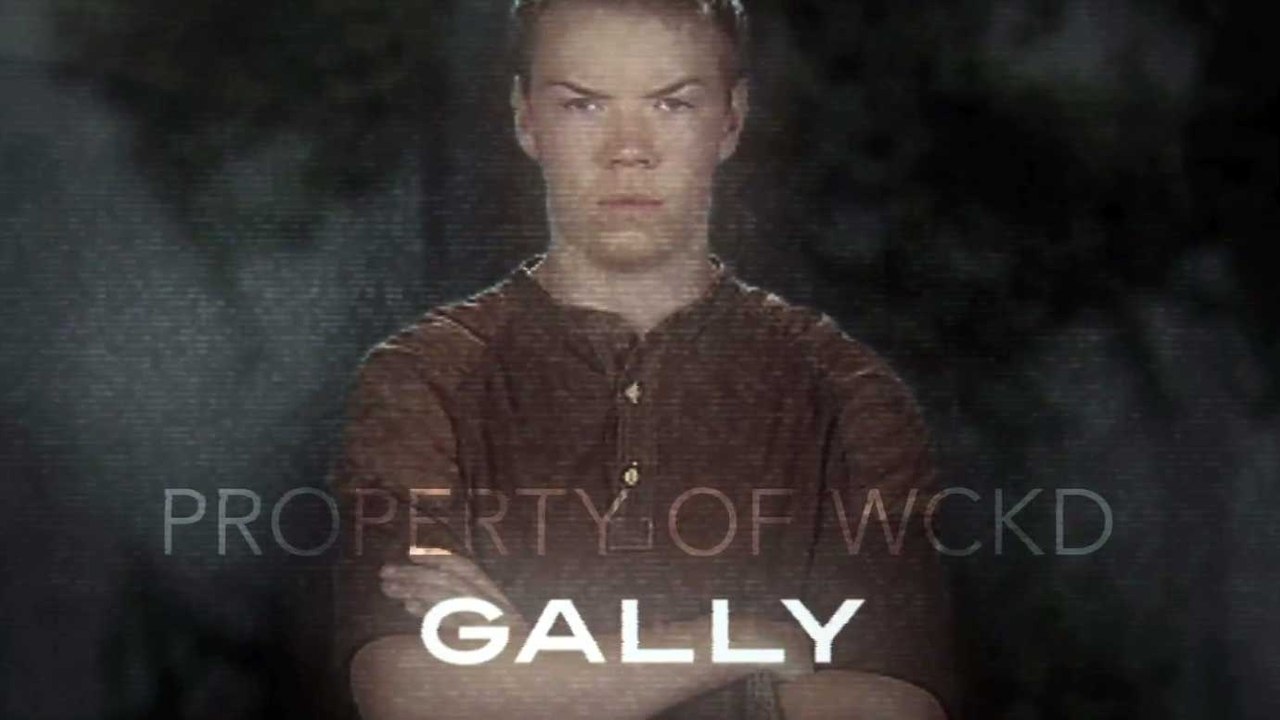 The Maze Runner - Character Piece (Gally)