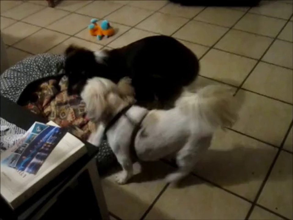 2014.08.18 - Un peu de sport