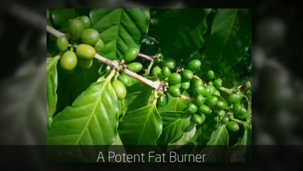 More Ideas For Effective Weight Loss