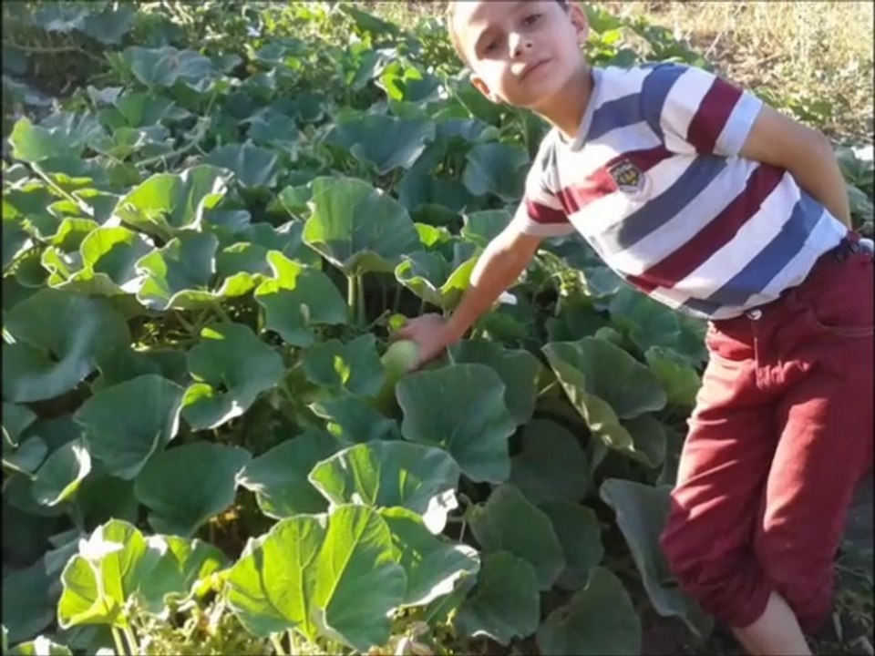 adıyaman gerger aksan köyü