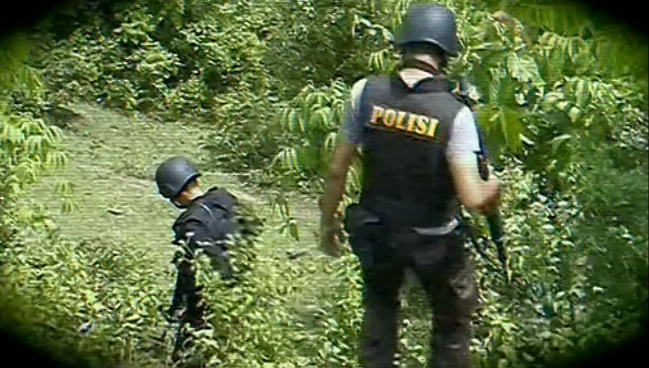 ABC Foreign Correspondent Terror Go Round