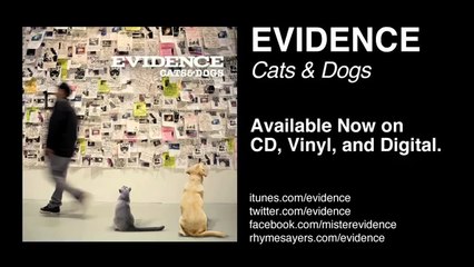 Evidence - Falling Down