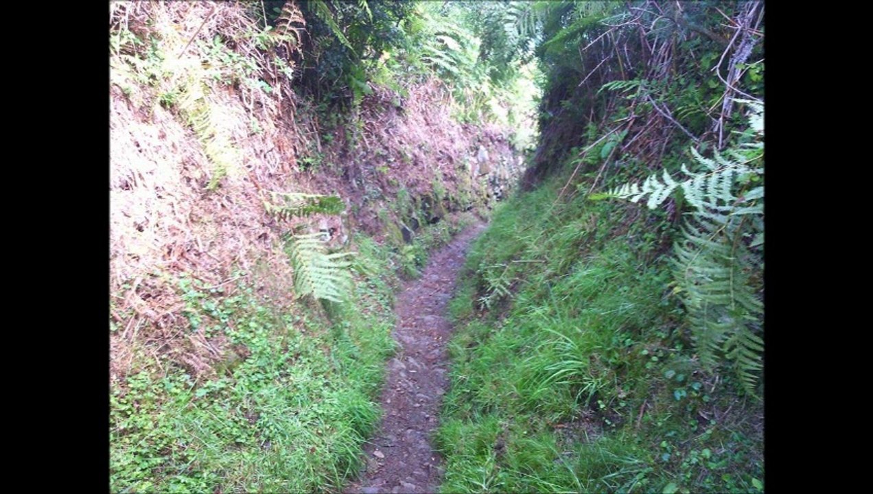 Radio HAG' FM - Il marche pour la bonne cause...