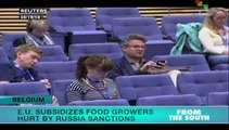 EU to subsidize European farmers affected by Russian sanctions