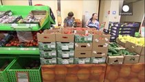 Bruselas desbloquea 125 millones de euros para los agricultores afectados por el embargo ruso