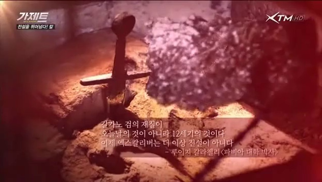 가제