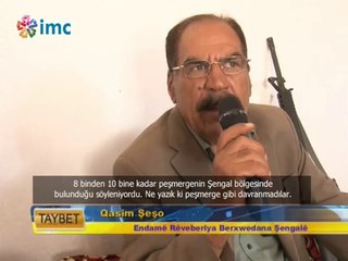 Eski peşmerge komutanı: Ne yazık ki Peşmerge gibi davranmadılar