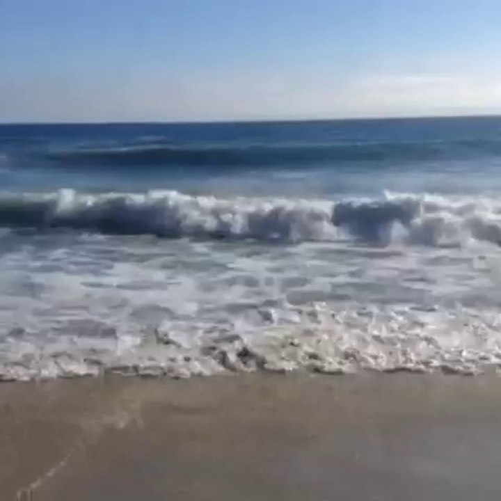 Mobile Capture Aug 17, 2014