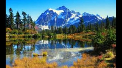 Padre Desmenuzado, (no lo veías venir)