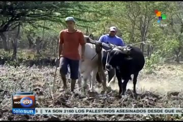Aguda sequía amenaza a Nicaragua
