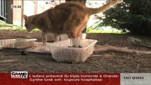 Cause Animale Nord : Surpopulation des chats à Lille