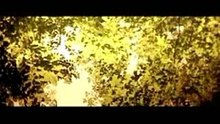 Apparat - Clip -  Komponent