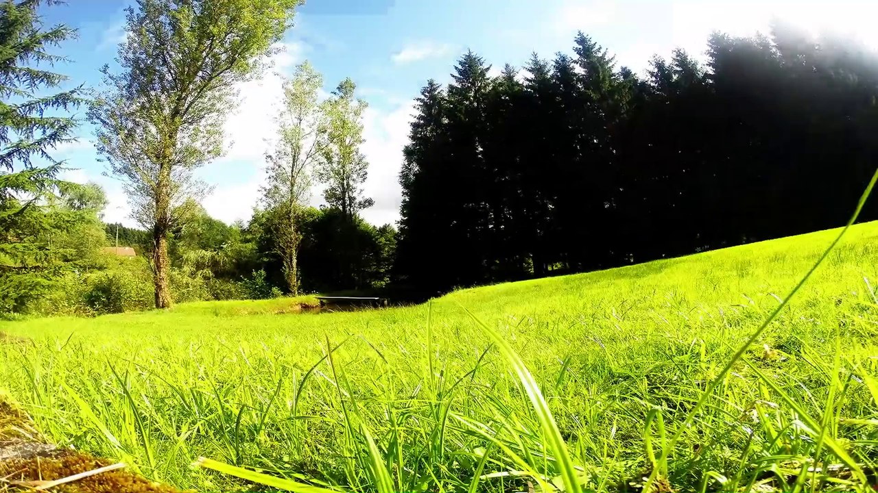 Saint Michel Sur Meurthe