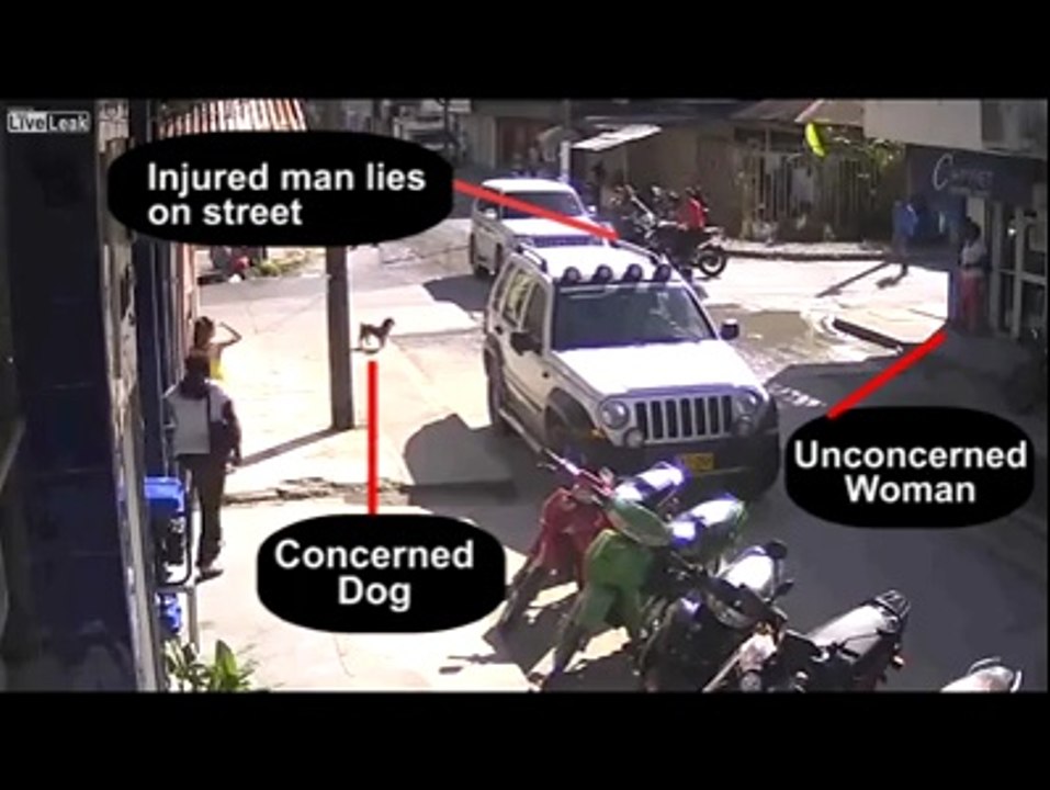 How to an Accident and Who Seen