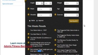 Demonstration of the Adonis Golden Ratio Calculator Options