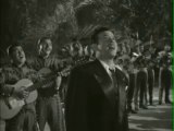 Cucurrucucu Paloma~Pedro Infante
