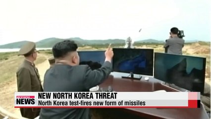 N. Korea launches new type of tactical rockets