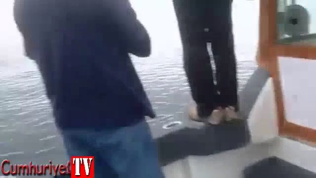 Katil balina deniz aslanını bir darbeyle metrelerce yükseğe fırlattı