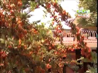 PKB EP 07 SEG 2-3 (06 min 10 sec)